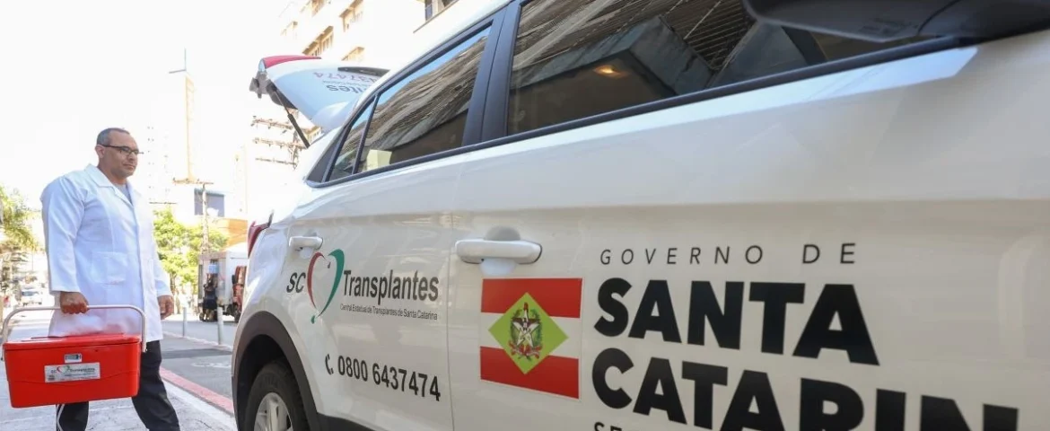 concurso ses sc